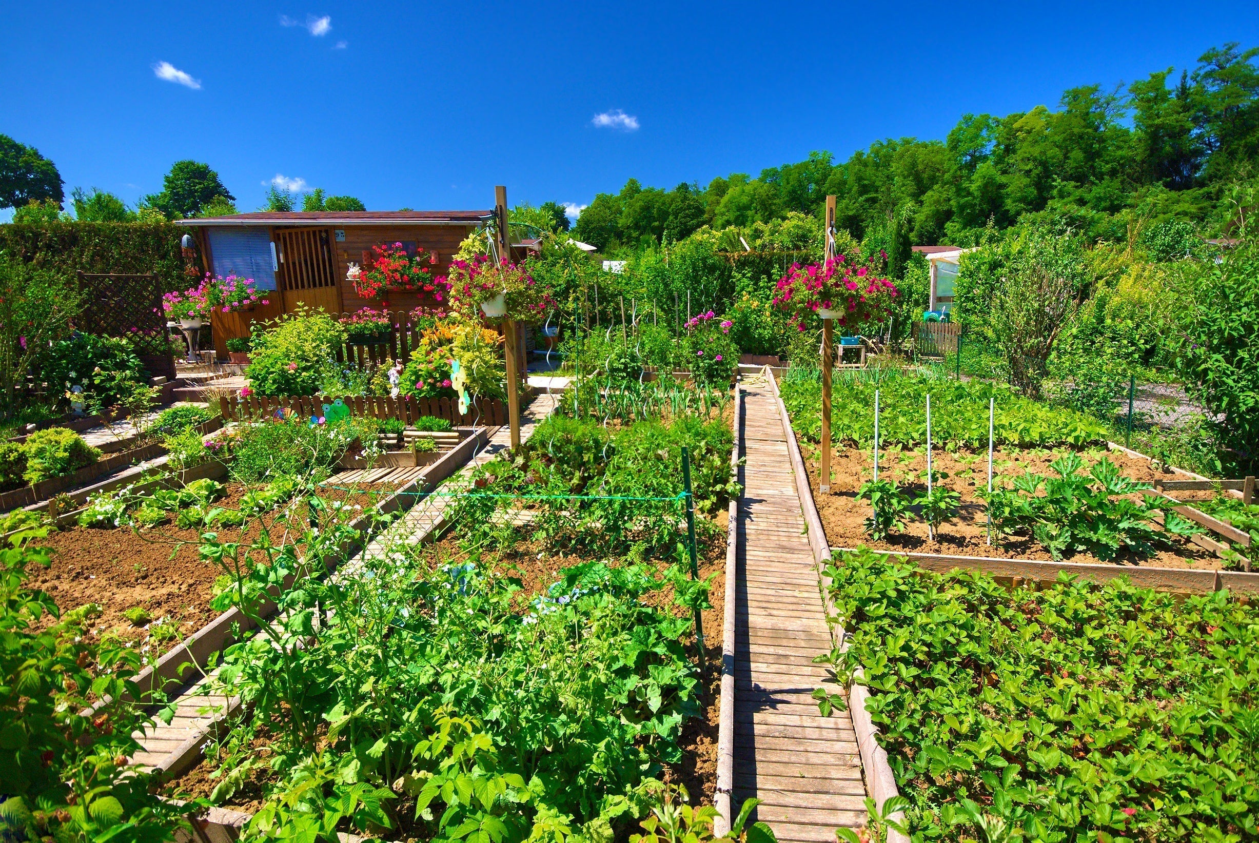 Réveillez votre jardin au printemps : les étapes essentielles pour préparer le sol