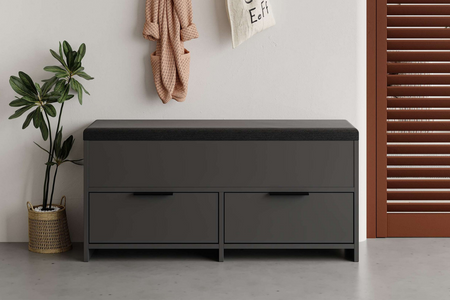 meuble à chaussures anthracite poli image format rectangle concept usine