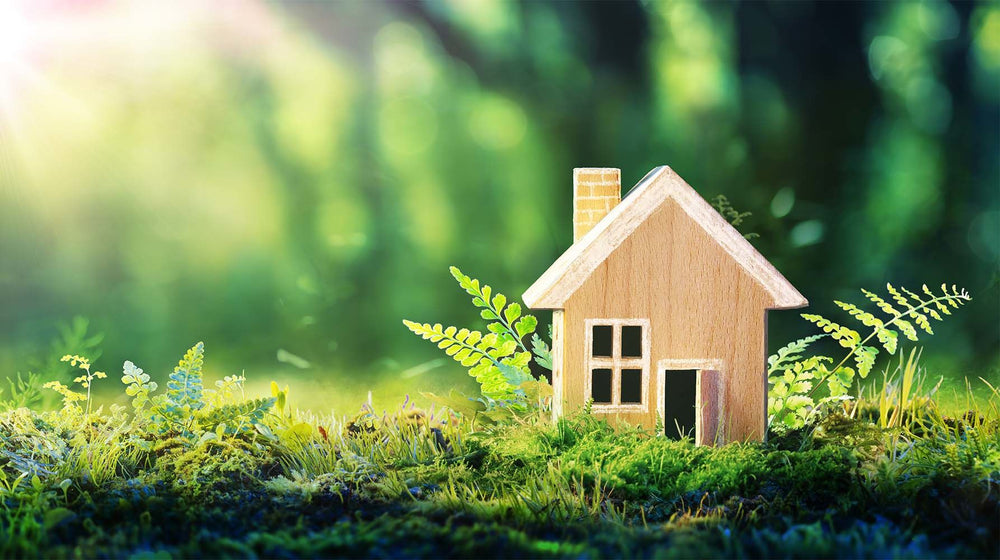 Comment rendre ma maison plus écologique ?