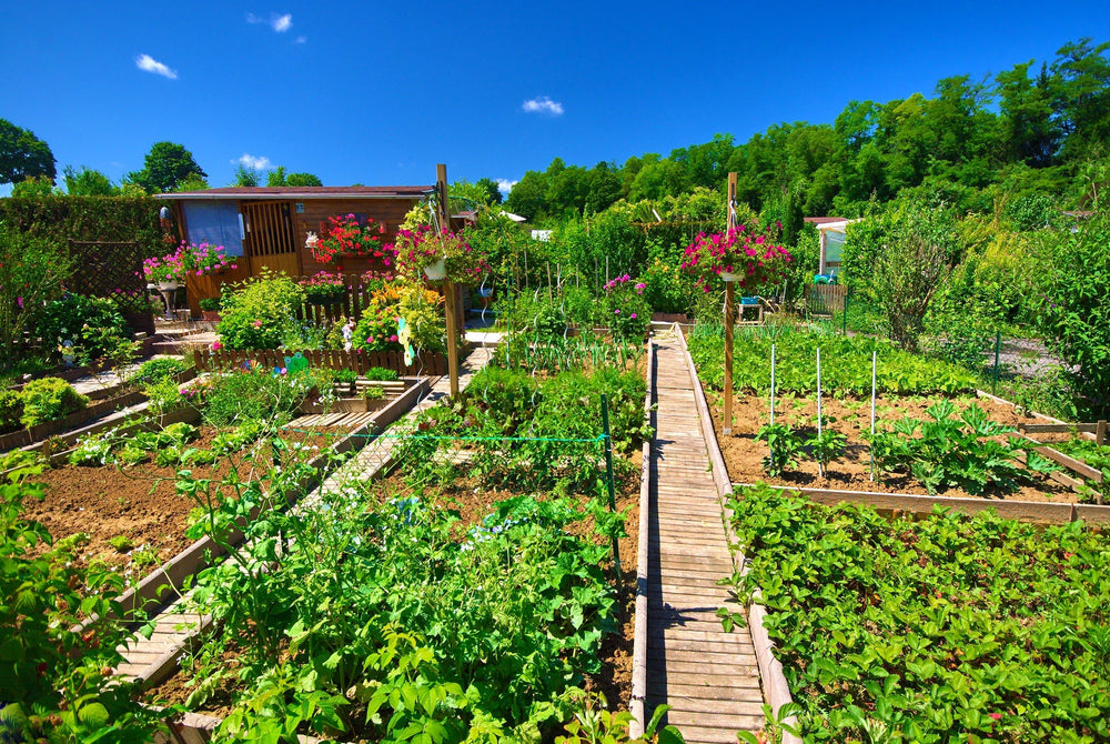 Réveillez votre jardin au printemps : les étapes essentielles pour préparer le sol