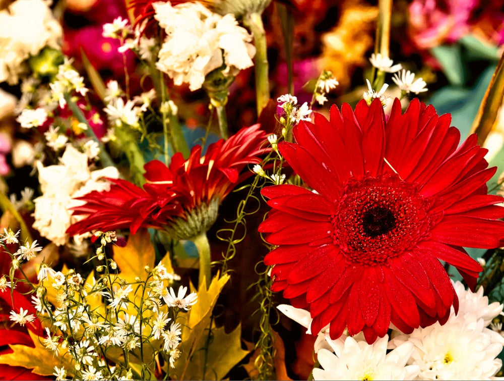 Fleurs : tout savoir pour choisir un bouquet de fleurs