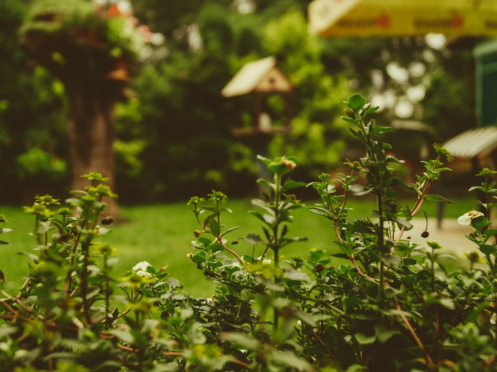 10 conseils pratiques pour réussir la déco de son jardin