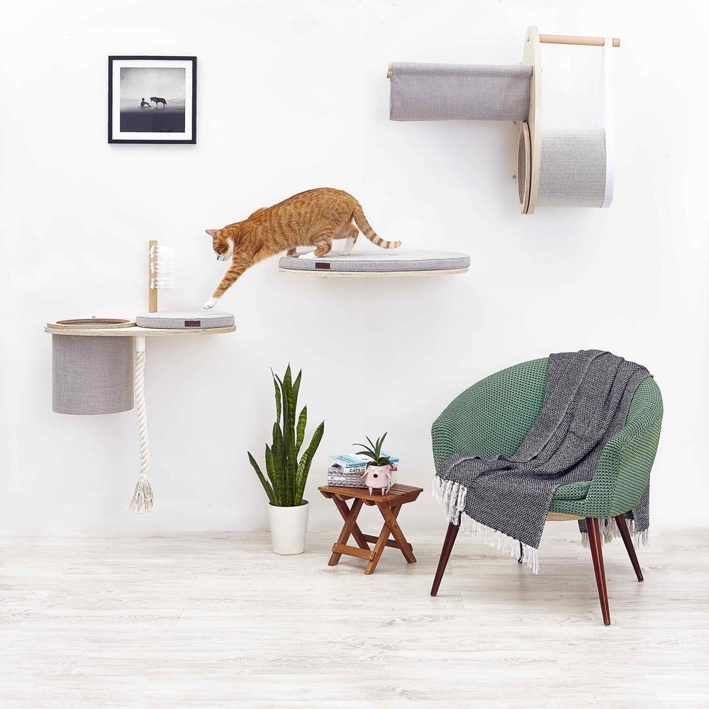 Comment aménager un espace pour chat dans sa maison ?