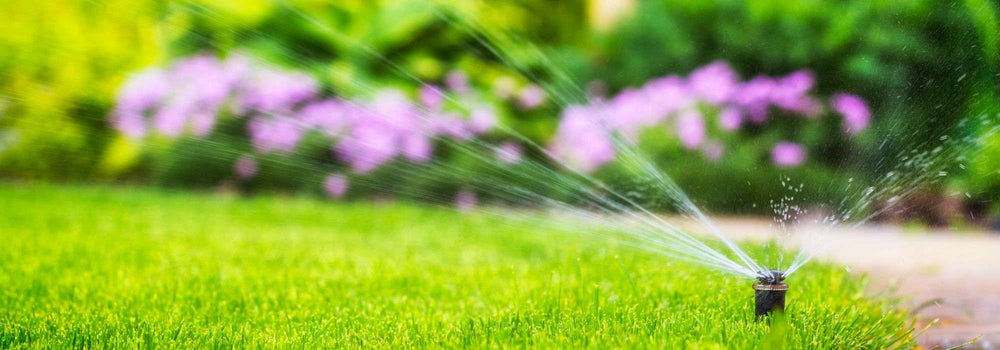 Jardin écologique en été : comment économiser l'eau pendant les périodes de sécheresse