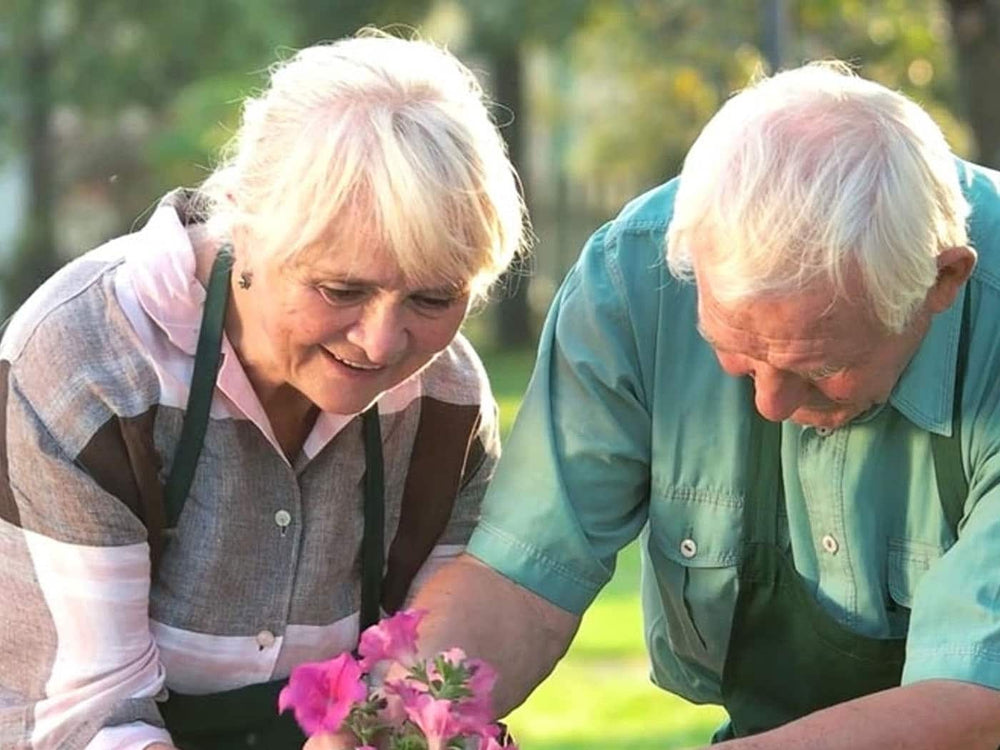 Les 4 règles d’un jardin adapté aux seniors !