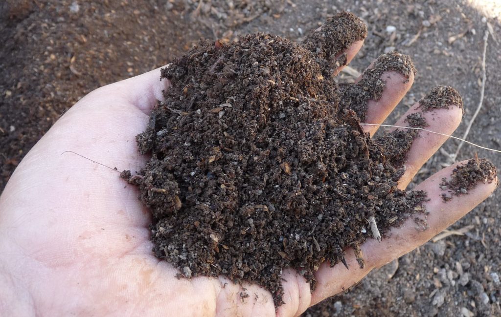 Quels sont les avantages de l’utilisation d’un lombricomposteur ?