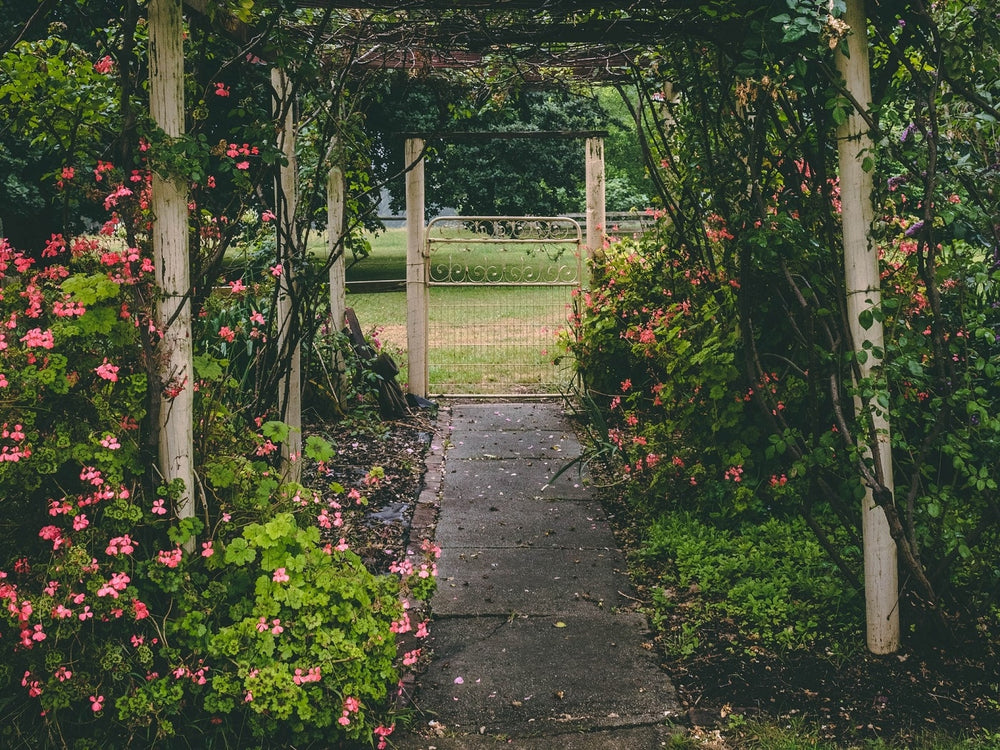 Comment aménager une allée de jardin ? Toutes nos idées !